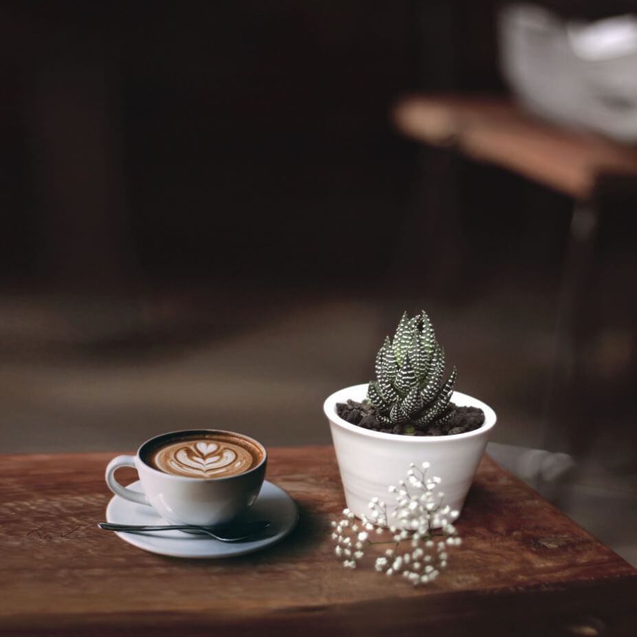 Kawy ziarniste do ekspresu i herbaty liściaste